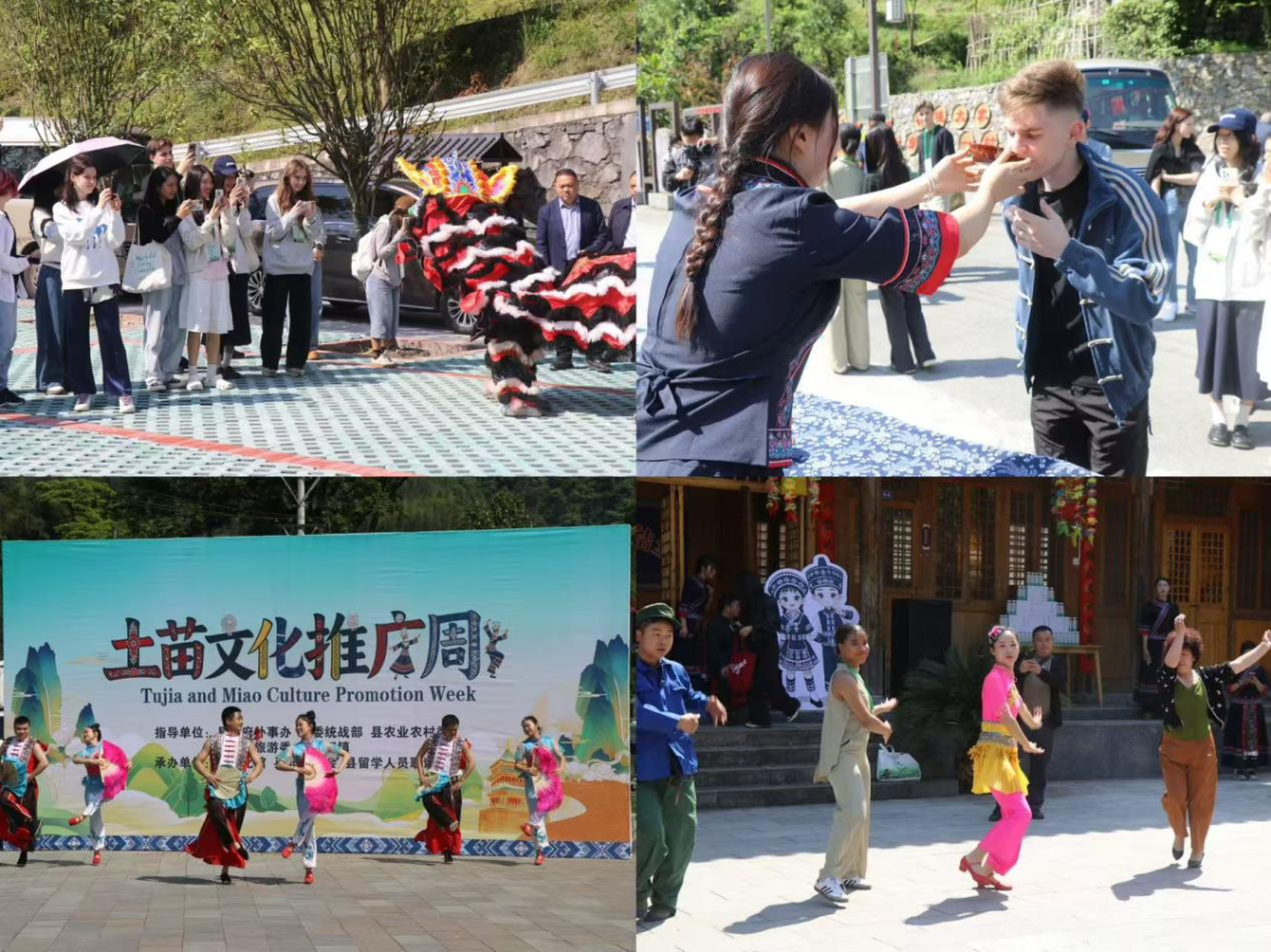 图片12.png